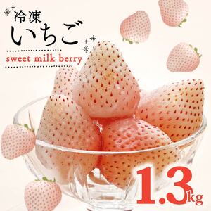 冷凍いちご 白いちご 計 1.3kg sweet milk berry 白いちご