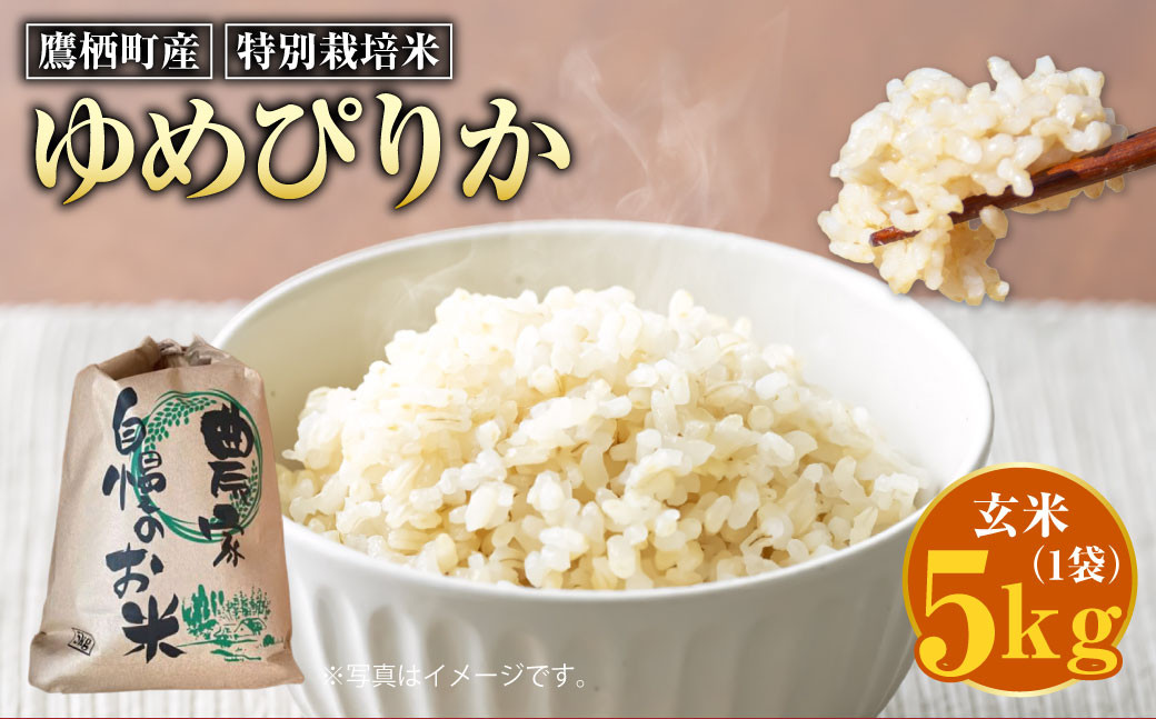 
                  【令和8年産】 ゆめぴりか （玄米） 5kg 北海道 鷹栖町 たかすのおむすび 米 コメ ご飯 玄米 お米 【2026年9月下旬発送予定】
                