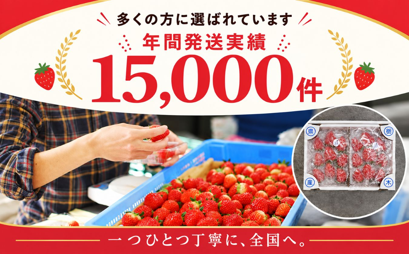 頬張る幸せ★大粒 「スカイベリー」 560g (280g×2P)| 澳原いちご農園 栃木県 矢板市 スカイベリー2P｜8000円
