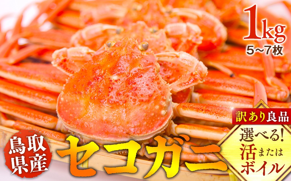 
            【選べる！活またはボイル】鳥取県産 セコガニ 訳あり良品 1kg(5～7枚)※2025/11/6～2025/12/25に順次発送予定※着日指定不可  離島不可（北海道、沖縄本島は配送可能） ｜ 蟹 かに せこがに せこ蟹 訳あり 家庭用 鳥取県産 北栄町 おすすめ 人気
          