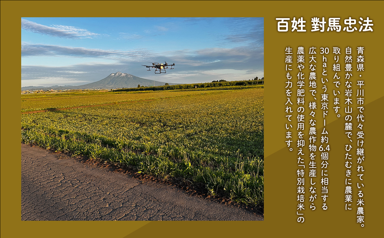 ≪令和8年産 先行予約≫12月中旬よりお届け! 　特別栽培米 はれわたり白米20kg【青森県 平川市】