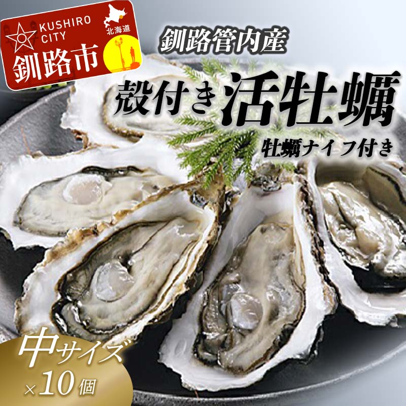 【ふるさと納税】【ぷりっぷりで濃厚！】釧路管内産【活】牡蠣（中）10個（カキナイフ付き） 北海道 釧路 ふるさと納税 牡蠣 貝 海 ミルク 魚介 かき F4F-7739