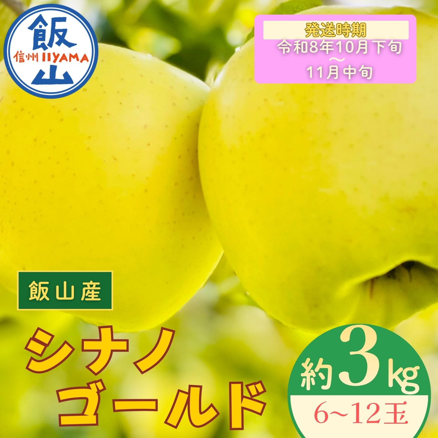 【先行予約　2026年10月下旬より順次発送】シナノゴールド【約3kg(6~12玉)】(At-014)　長野県 飯山市 おすすめ ランキング おいしい 高評価 大人気 先取り 産地直送 りんご