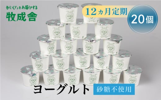 12回定期便 飛騨産ミルクと乳酸菌だけのプレーンヨーグルト20個 砂糖不使用 牧成舎 乳製品 定期便 お楽しみ 12ヵ月