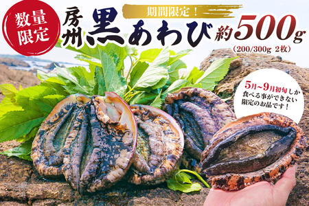 【2026年5月～9月初旬発送予定】【数量限定】房州 黒あわび 約500g (200/300g × 2枚) mi0020-0012