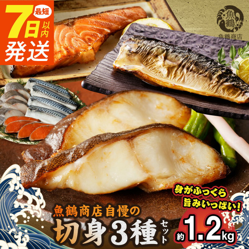 【ふるさと納税】【限定】 銀だら 銀鮭 切身 各 4切 塩さば フィレ 4枚 7日以内発送 選べる発送時期 真空パック 小分け 良質な脂 ふっくら 柔らかい 梅酒 北海道南産 真こんぶ だし漬け お弁当 おかず お茶漬け ムニエル 焼き物 煮魚 お取り寄せ 和歌山県 湯浅町 送料無料