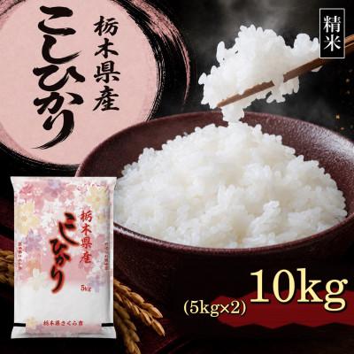 ふるさと納税 さくら市 【令和8年産新米】【食味鑑定士厳選】栃木県産 コシヒカリ 10kg(5kg×2袋)(さくら市)