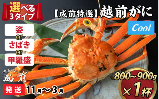 【先行予約】選べる！美味しさ直送【成前特選】 越前がに（800g～900g）×1杯【11月～3月発送】 甲羅盛 [K-028048_07]