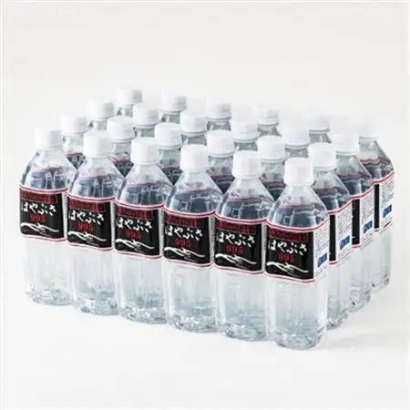 【毎月定期便】りょう泉はやぶさ　995〈500ml×24本〉全12回【4058674】