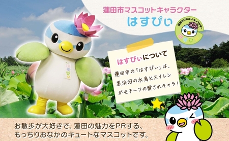 とかいなかNo.1 蓮田市マスコットキャラクターはすぴぃ グッズセット パペット ステンレスクリップ マスコット キャラクター はすぴぃ ぬいぐるみ グッズ お子様 プレゼント 雑貨 癒し ぬいぐるみ