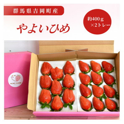 【ふるさと納税】群馬県産いちご　やよいひめ　約400g×2トレー【配送不可地域：離島・沖縄県】【1710522】