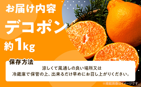 期間限定 デコポン フルーツ 果物 くだもの 1kg 柑橘 甘い 濃厚 ジューシー 産地直送 デザート おやつ オレンジ 福岡県 福岡 九州 グルメ お取り寄せ 【2月上旬頃から順次発送】