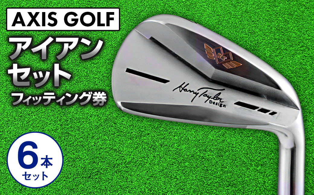 ゴルフ アイアン 6本セット（5番～9番，PW)【アクシスゴルフ】axisgolf IRON/シャフト・スペック要相談【フィッティング券】 HARRY TAYLOR IRON