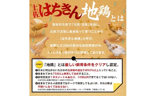 土佐はちきん地鶏スモークチキン むね肉（1.5kg） 小分け 地鶏 ブランド 鶏肉 とり肉 とりにく 肉 食品 加工食品 燻製 くんせい 高知県 大川村 F6R-147