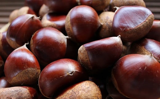 この秋、栗の名産地・京丹波町で収穫した丹波栗だけを厳選して使用。