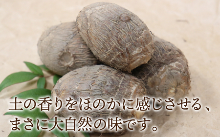 【先行予約】さといも 大和里芋（やまと）5kg【2025年11月上旬順次発送】 | 野菜 芋 イモ 根菜 いも 煮物 旬 味覚 秋