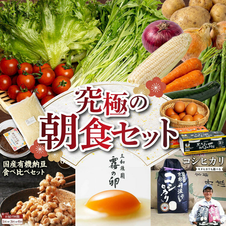 【ふるさと納税】【新規格登場】野菜 米 定期便 旬の野菜&コシヒカリ2kgなど お楽しみ 詰め合わせセット 1回 6回(2ヵ月に1回) 京都丹波・亀岡産 みなと屋 産地直送 6ヶ月 隔月6回 定番 和食 朝食 ふるさと納税米 卵 (6個+4個割れ保障) 納豆 野菜 味噌 定期便 京野菜 自家農園
