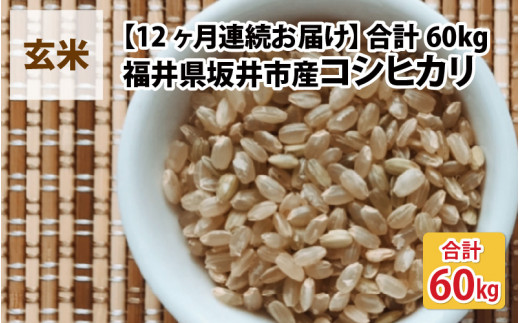 【先行予約】【令和7年産・新米】【12ヶ月連続お届け】福井県坂井市丸岡町産 コシヒカリ5kg×12回 計60kg（玄米）【2025年10月より順次発送予定】 [N-11301_02]