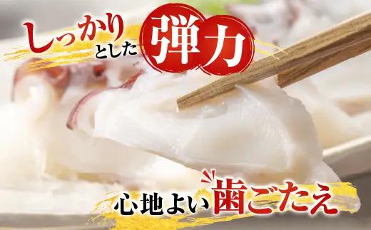 【北海道根室産】お刺身用たこ足2本(計2～2.5kg) C-70068