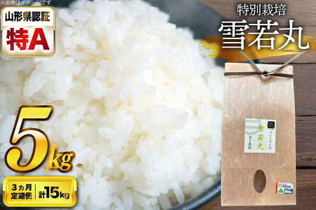 米 定期便 3回 令和7年産 厳選米 匠 特別栽培米 雪若丸 5kg 計15kg [金子農園 山形県 高畠町 tk06ays950029]