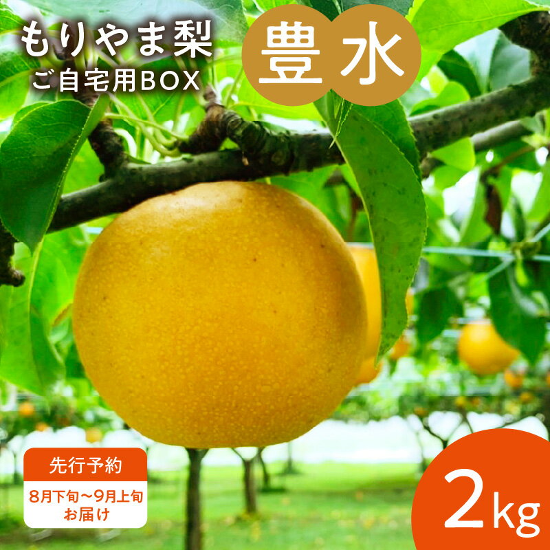 【ふるさと納税】【8月下旬～9月お届け】 もりやま梨 豊水 2kg ご自宅用 梨 完熟 果汁 みずみずしい 人気 甘み 酸味 すっきり 果物 フルーツ デザート おやつ びわこもりやまフルーツランド お取り寄せ お取り寄せフルーツ 滋賀県 守山市 送料無料