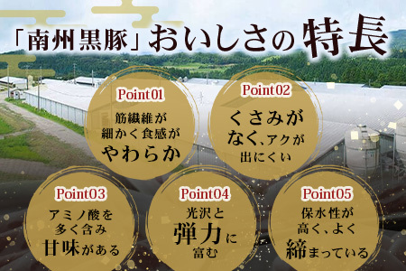 南州農場 黒豚バラエティセットA（3424）