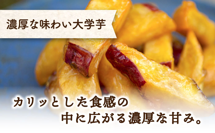 【全6回定期便】ねっとり濃厚！【てくてくのさつまいもスイーツ 3種詰め合わせ 焼き芋 スイートポテト 大学芋 さつまいも スイーツ 江田島市/峰商事 合同会社[XAD040]