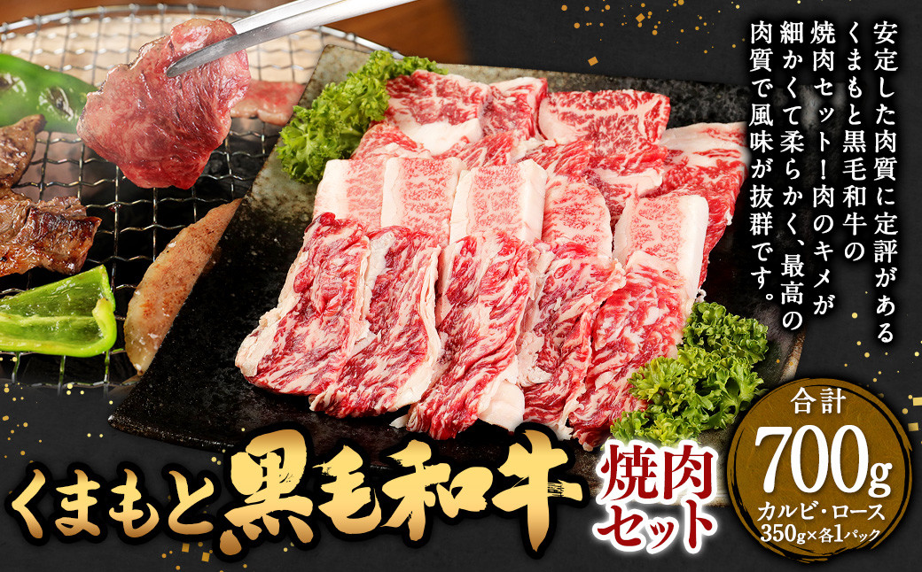 くまもと 黒毛和牛 焼肉 セット 700g