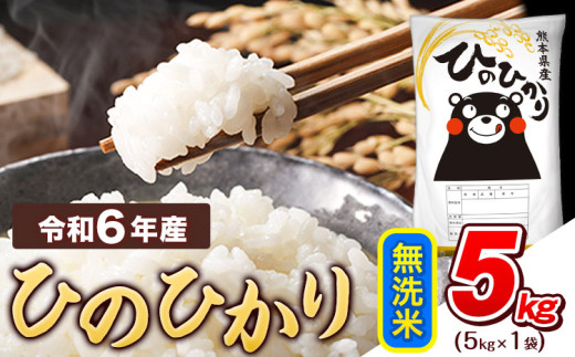 令和6年産  無洗米 ひのひかり 5kg 《7-14営業日以内に出荷予定(土日祝除く)》熊本県産 ふるさと納税 精米 ひの 米 こめ ふるさとのうぜい ヒノヒカリ コメ お米 おこめ