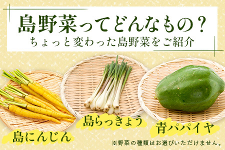 石垣島産 野菜BOX【３回定期便】（６~８種類）季節ごとに野菜パワーをあなたに！！CK-2 【野菜セット おまかせセット 旬 季節のお野菜 旬の野菜セット 詰め合わせ 定期便 ３回 定番野菜 島野菜 