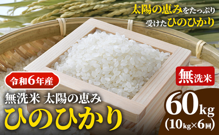 【令和6年産】無洗米 岡山県産 ひのひかり 笠岡産 60kg(10kg×6回)《10月下旬-9月下旬頃出荷》農事組合法人奥山営農組合 太陽の恵み