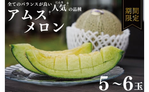 アムスメロン 5～6玉 【メロン めろん アムス フルーツ デザート 果物 くだもの 果実 グルメ 産地直送 希少 期間限定 先行予約】 (KBQ-9)