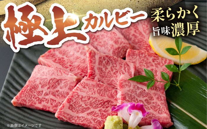 カルビ A5ランク 焼肉 三角ばら 外バラ 中バラ 定期 6回 定期便 牛肉 和牛 黒毛和牛冷凍 佐賀 佐賀県 味付き 6ヶ月