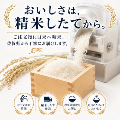 ふるさと納税 多久市 【毎月定期便】さがびより白米10kg(5kg×2袋)(多久市)全3回 |  | 01
