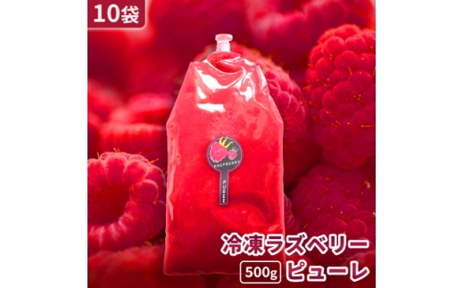 ＜北海道十勝産 贅沢ピューレ＞冷凍ラズベリーピューレ 500g×10袋【1677105】