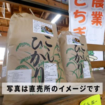 ふるさと納税 那須塩原市 【令和7年産】コシヒカリ米10kg(そすいのミネラル米)