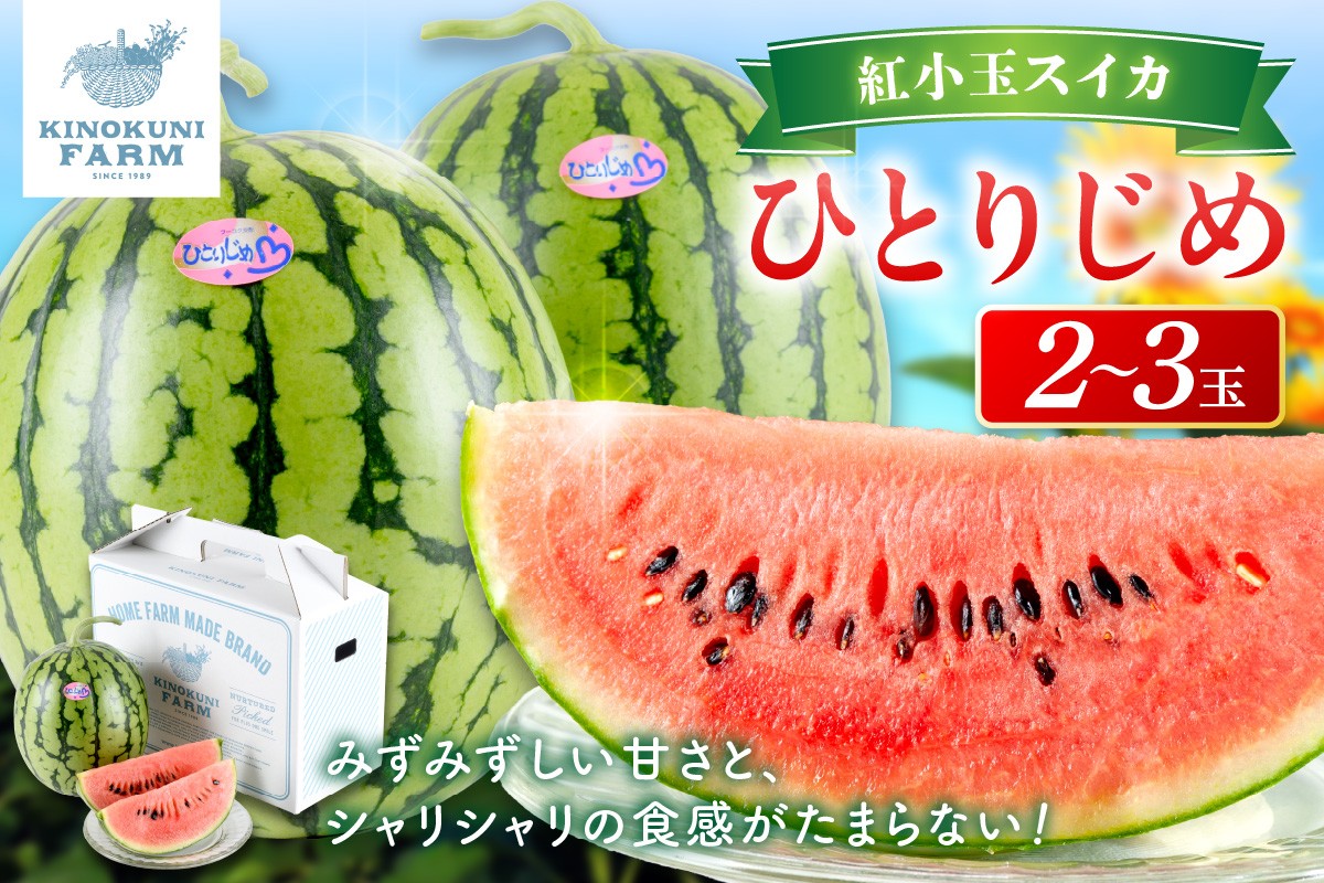 
                  自農園産　紅小玉スイカ「ひとりじめ」2～3玉≪先行予約≫2026年6月中旬から順次発送【 配送不可地域：北海道・青森・秋田・岩手・沖縄・離島】果物 くだもの フルーツ 期間限定 すいか 小玉すいか 小玉スイカ 西瓜 贈答 贈り物 シャリシャリ みずみずしい
                