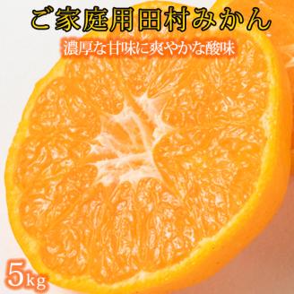 【ご家庭用訳あり】田村みかん　5kg ※2024年11月下旬頃～2025年1月下旬頃発送（お届け日指定不可）訳ありみかん 温州みかん【uot754】