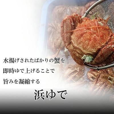 ふるさと納税 白老町 冷凍毛ガニ2尾(300g〜340g前後)・訳ありイクラ100gセット 冷凍発送 |  | 01
