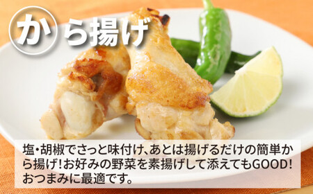 宮崎県産若鶏手羽元3㎏ K16_0086