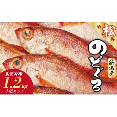 ふるさと納税 新発田市 【鮮度抜群】真空冷凍　日本海産ノドグロ 4尾セット(1尾 約300g以上)