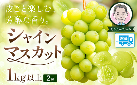 ぶどう シャインマスカット マスカット 2房 1kg 《9月上旬-9月下旬頃出荷》 たかたかファーム ブドウ 葡萄 マスカット 果物 フルーツ ギフト 岡山県 笠岡市