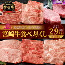 【ふるさと納税】数量限定 宮崎牛 食べ尽くし 梅コース 合計2.9kg以上 肉 牛肉 国産 期間限定 人気 ブランド牛 4等級 ステーキ スライス すき焼き しゃぶしゃぶ おかず 晩ご飯 ディナー パーティー ご褒美 記念日 お祝 贅沢 グルメ ミヤチク 宮崎県 都農町 送料無料