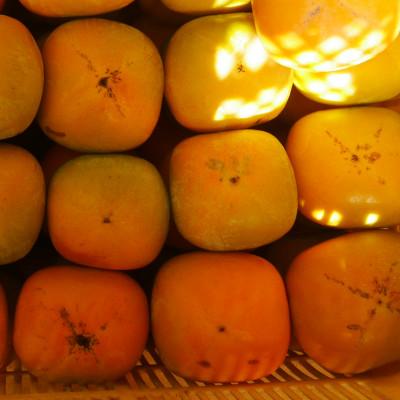 ふるさと納税 橋本市 【先行受付】橋本市産　たねなし柿　2kg　(家庭用　訳あり) |  | 02