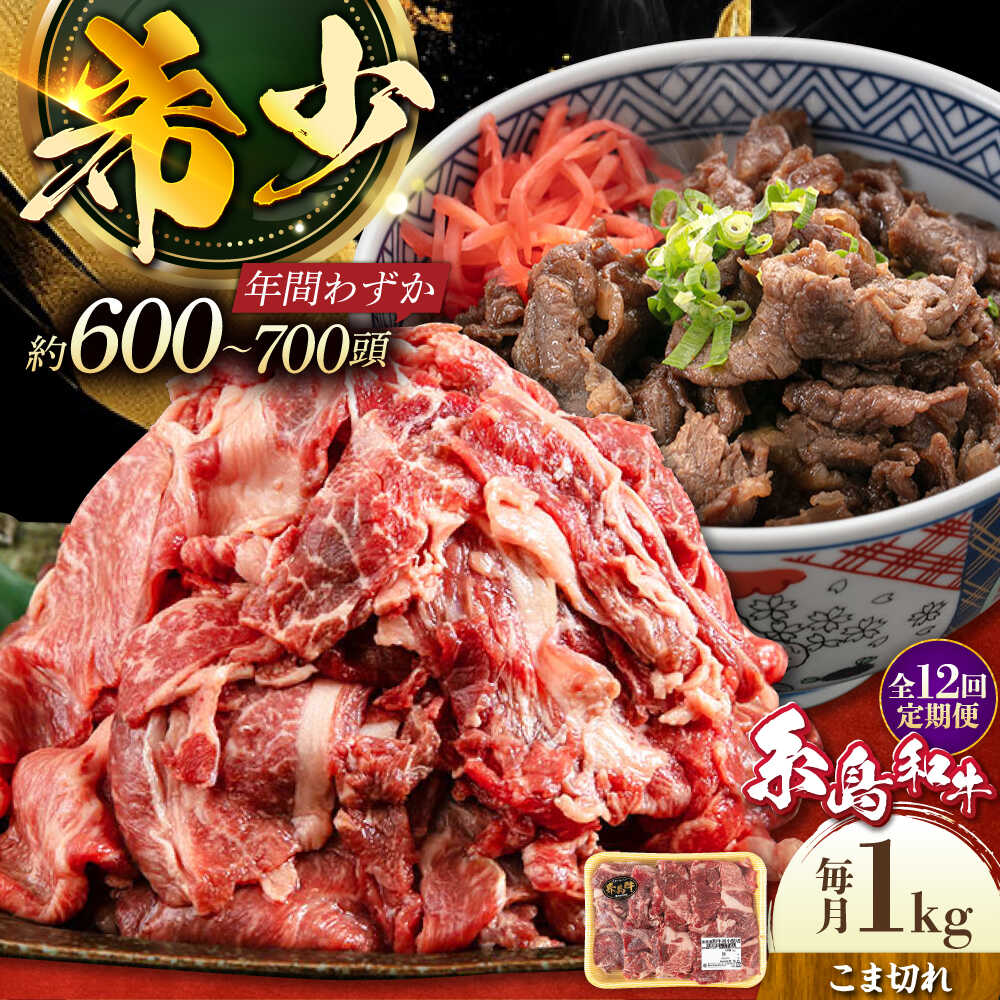 【ふるさと納税】【全12回定期便】希少和牛！糸島和牛 こまぎれ 1kg 糸島市 / トラヤミートセンター 牛肉 黒毛和牛[AJD020] 100000円 10万円