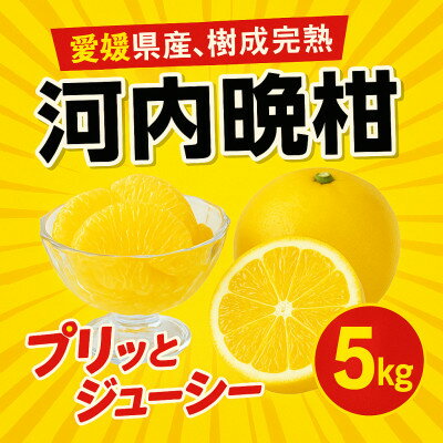 【ふるさと納税】河内晩柑5kg【訳あり】【A31-50】【配送不可地域：離島】【1613967】