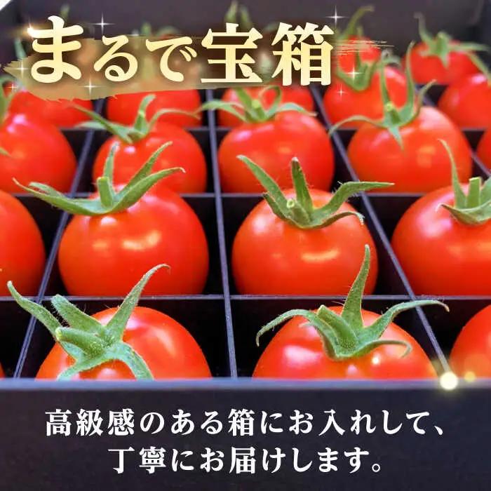 あま壱岐 トマト 約600~700g [JAE010] トマト