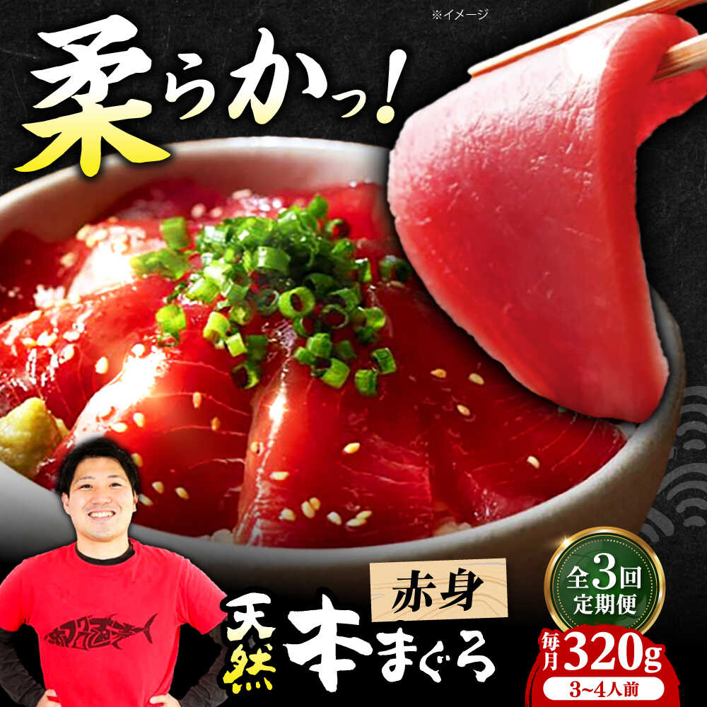 【ふるさと納税】【全3回定期便】極上！たね熟天然本まぐろ赤身(320g) 天然 マグロ 鮪 赤身 刺身 魚 魚介 大阪府高槻市/本まぐろ直売所[AOCE013]