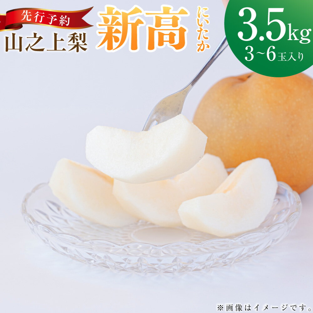 【ふるさと納税】【レビューキャンペーン対象商品】《先行予約》「丸坂山田農園」山之上梨 新高 1箱 約3.5kg（3～6玉） | 梨 ナシ なし くだもの 果物 果実 フルーツ 冷蔵 岐阜県産 国産 岐阜県 美濃加茂市 送料無料 【2025年9月上旬～9月下旬発送予定】
