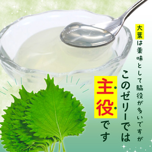 J05009-S 【お中元ギフト】大葉ゼリー 9個入り《7/1～8/8の期間にお届け》